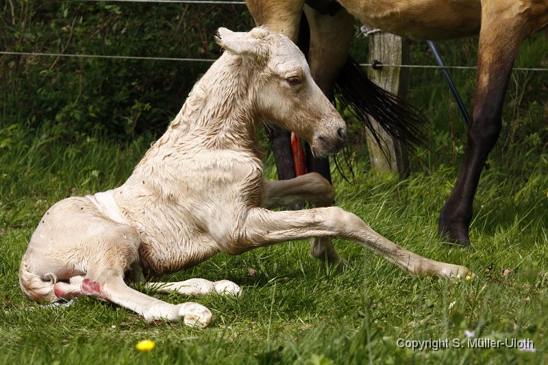 Hjoerdis 13 Min alt (12).JPG